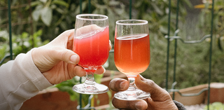 Two hands holding glasses of pink drinks in a garden setting