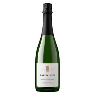 2023 'Pali Vineyard' Sparkling Chenin Blanc